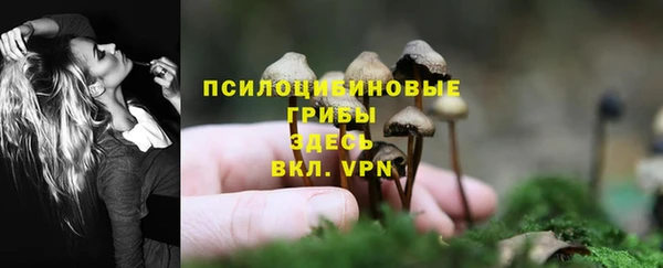 соль курить ск Арсеньев