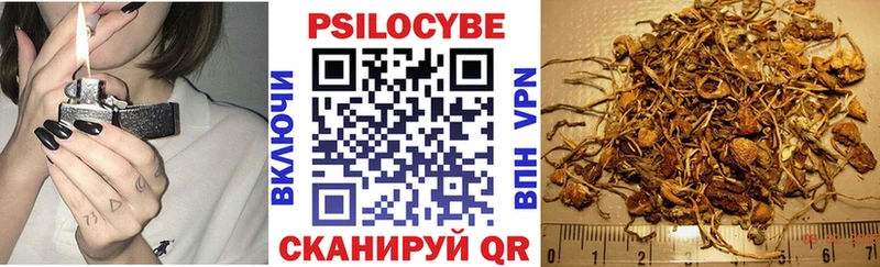 Псилоцибиновые грибы прущие грибы где можно купить Артёмовский